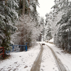 Пазачът