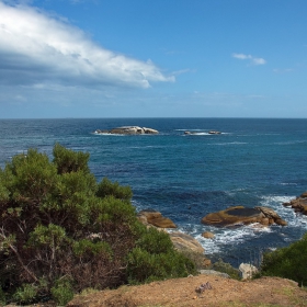 Table Mountain National Park (4) - поглед от панорамния път на изток от Cape Town