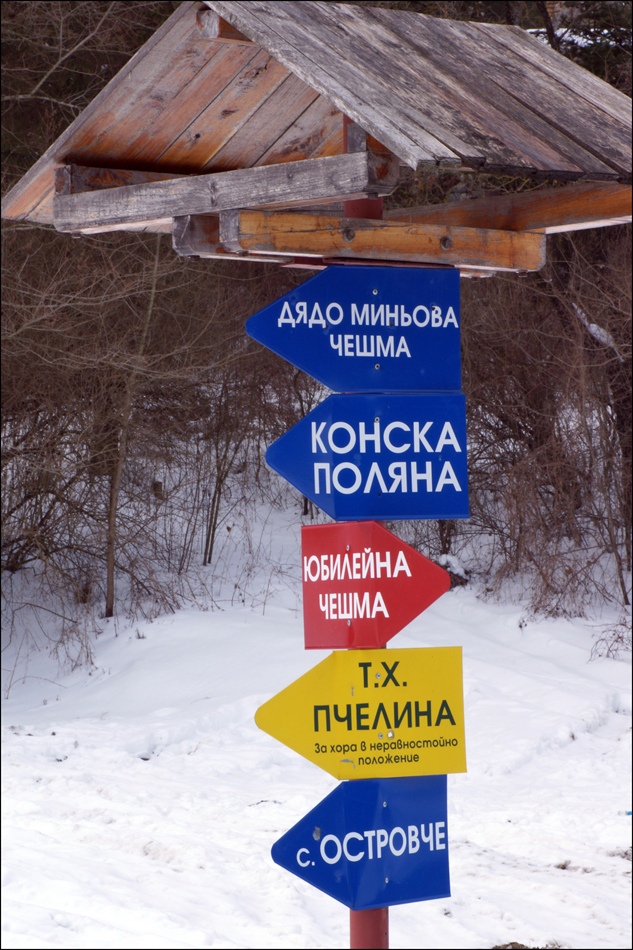 Накъде ли да тръгна?