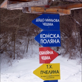 Накъде ли да тръгна?