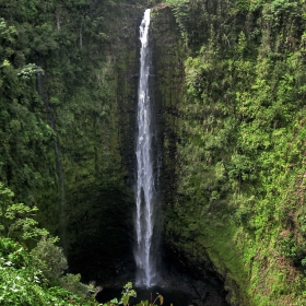 Akaka Falls (Big Island- Hawaii)