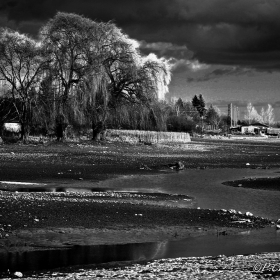 Black and White...landscape