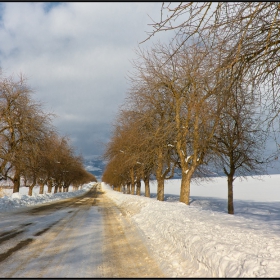 Snowy Road