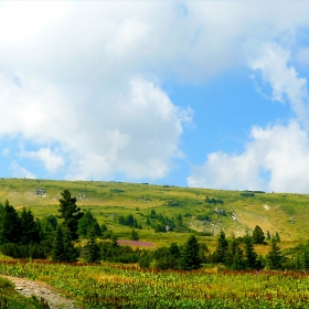 Рилски красоти