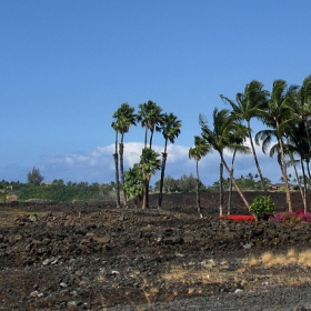 Палми и ярки цветя, черна застинала лава и надписи от бели корали...Big Island (Hawaii)