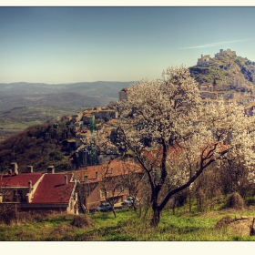 Monte della Rocca (Tolfa.Lazio) Italy
