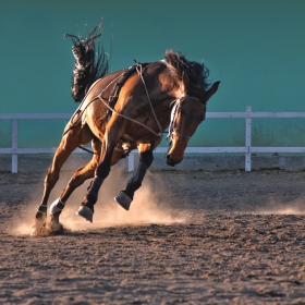 http://malinov-photo.comze.com