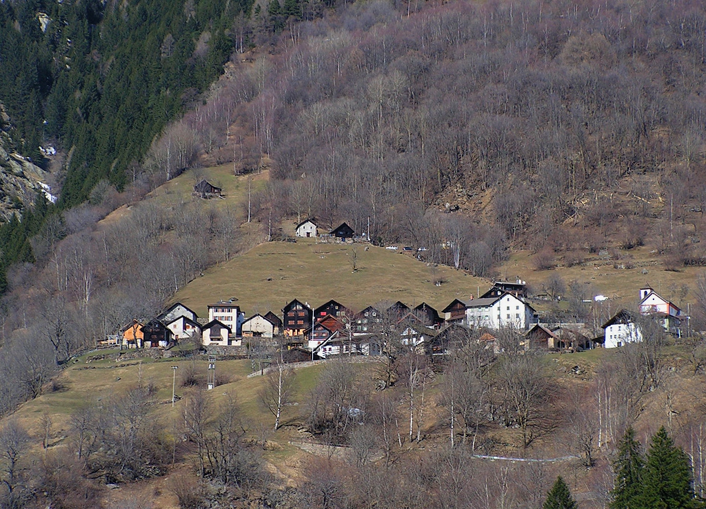 Селище в планината