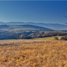 Старопланинско