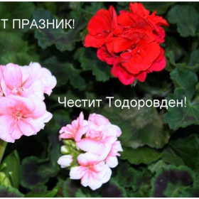 Честит Тодоровден!