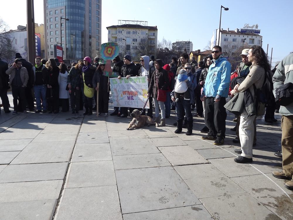 Митинг „Да спасим гората – да спасим държавата” на 3 март в София - 4