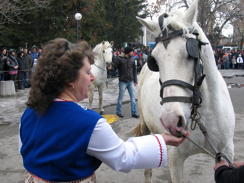 Народният обичай Тодоровден 2012 в с.Мрамор/4/