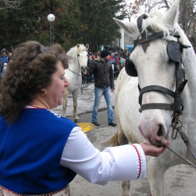 Народният обичай Тодоровден 2012 в с.Мрамор/4/