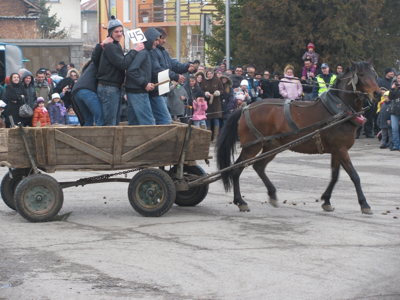 Народният обичай Тодоровден 2012 в с.Мрамор/11/