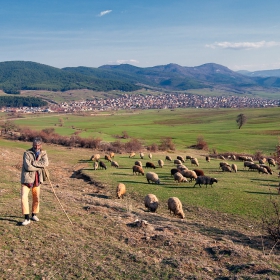 Край село Дорково