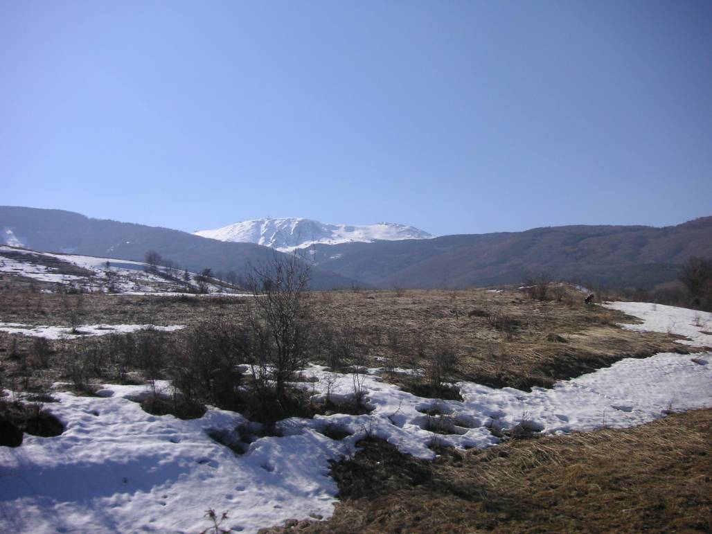 Поглед към Витоша