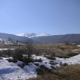 Поглед към Витоша
