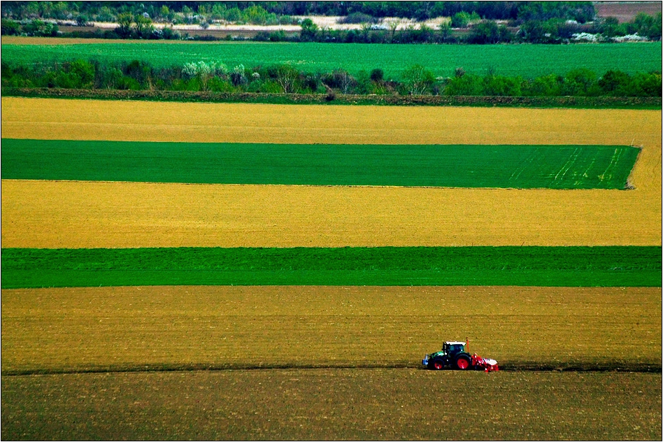 Снимка без име