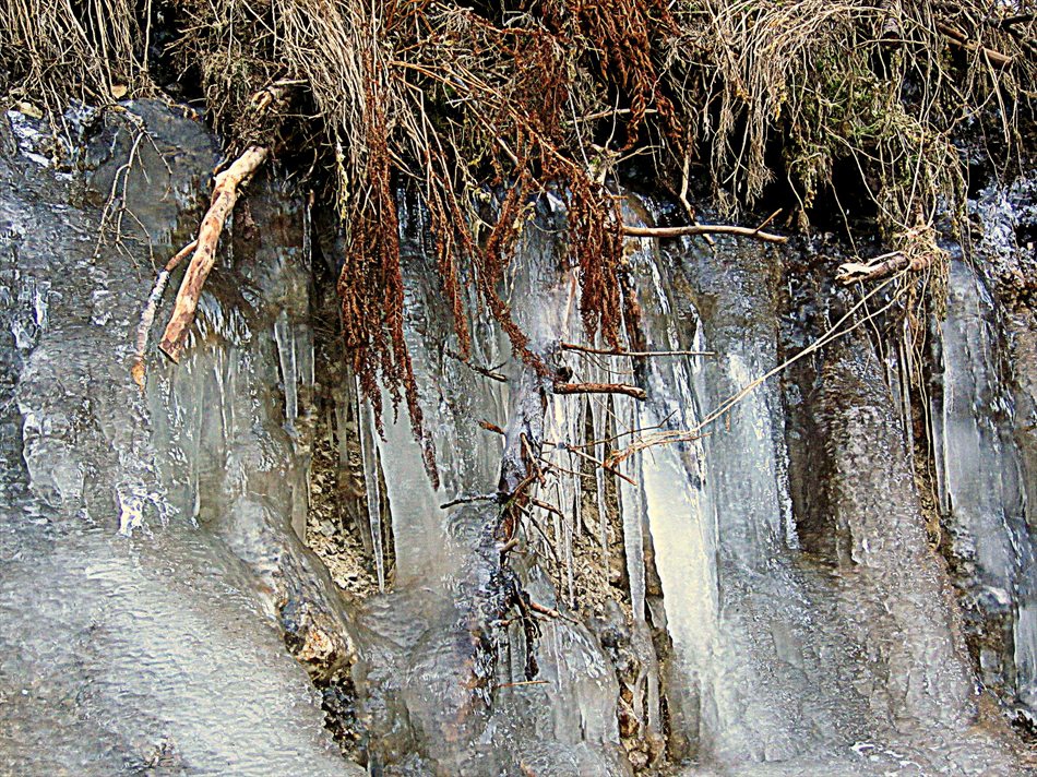 Леден бряг.