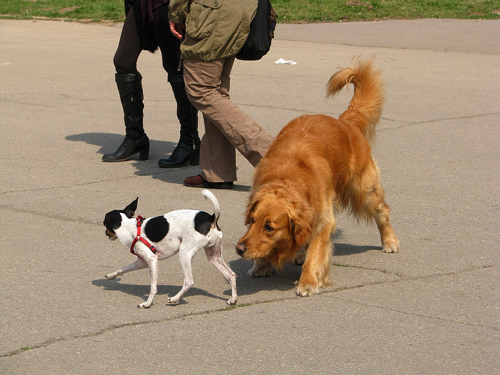 Opposites attract, Противоположностите се привличат
