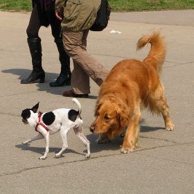 Opposites attract, Противоположностите се привличат