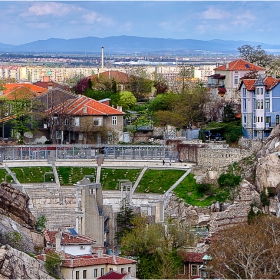 Loving PLOVEdiv