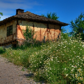 Чака дядовата къща,ала никой не се връща.