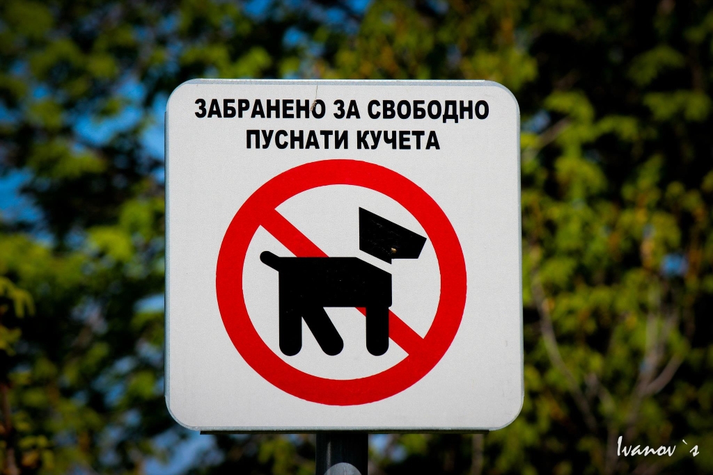 Cave Canem