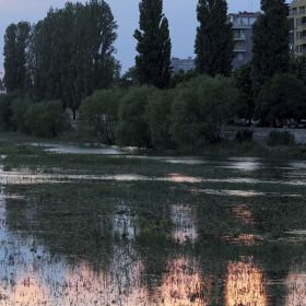 покрай Марица