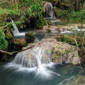 Крушуна, пролетна