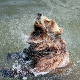 Воден спорт