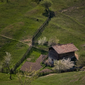 с.Грашево