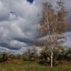 За красотата на пролетта