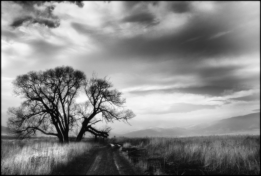 The road to happiness