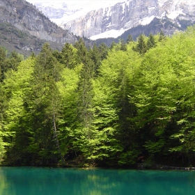  Синьото езеро(Blausee)2 в Алпите!