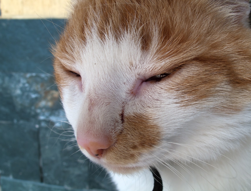 Are you talkin' to me ?!