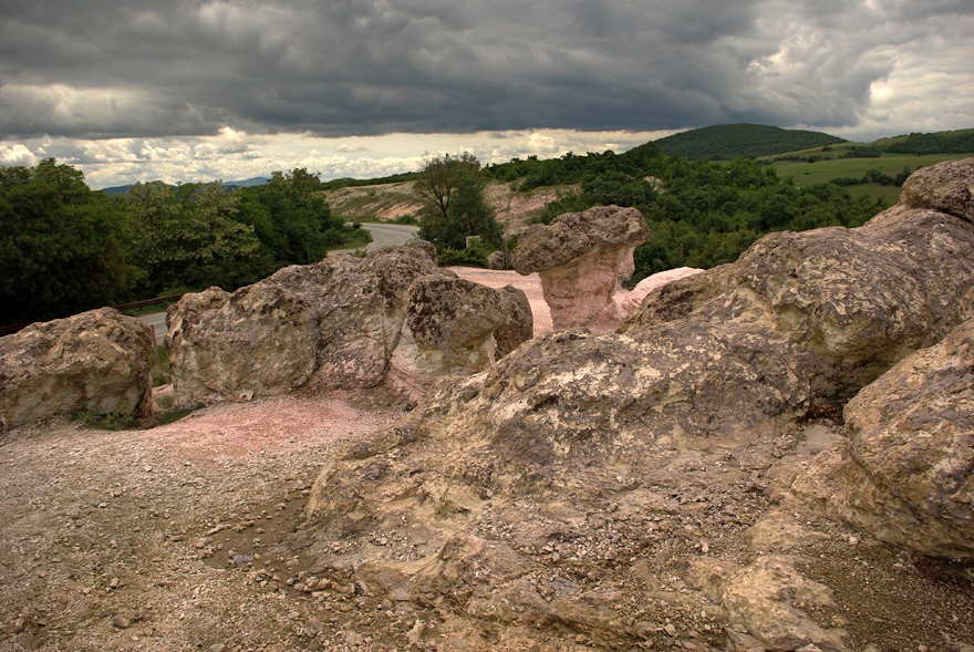 Каменни гъби