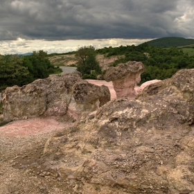 Каменни гъби