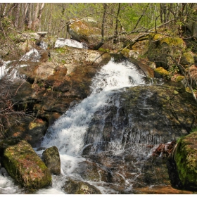 Водна импресия