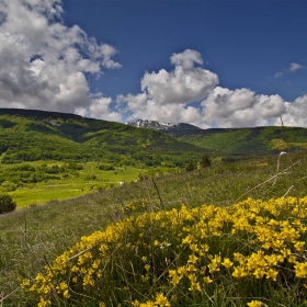 В планината