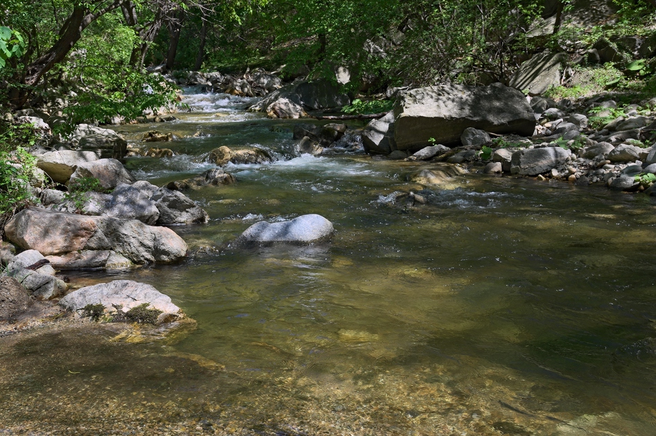 Край реката