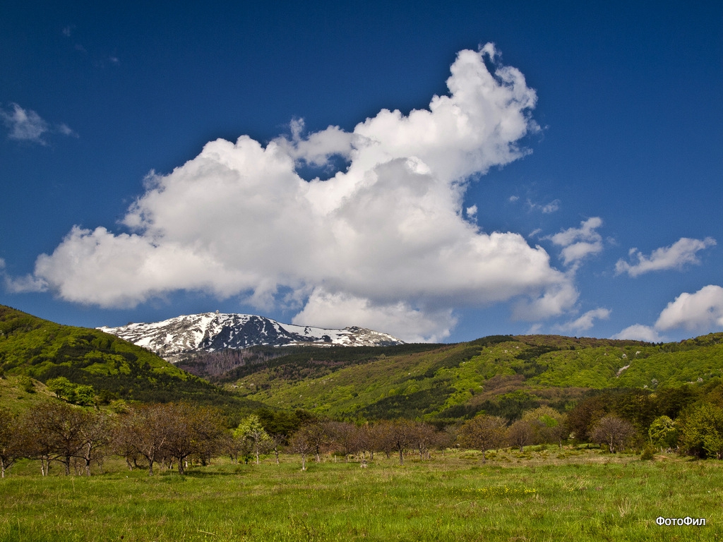 Витоша