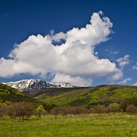 Витоша