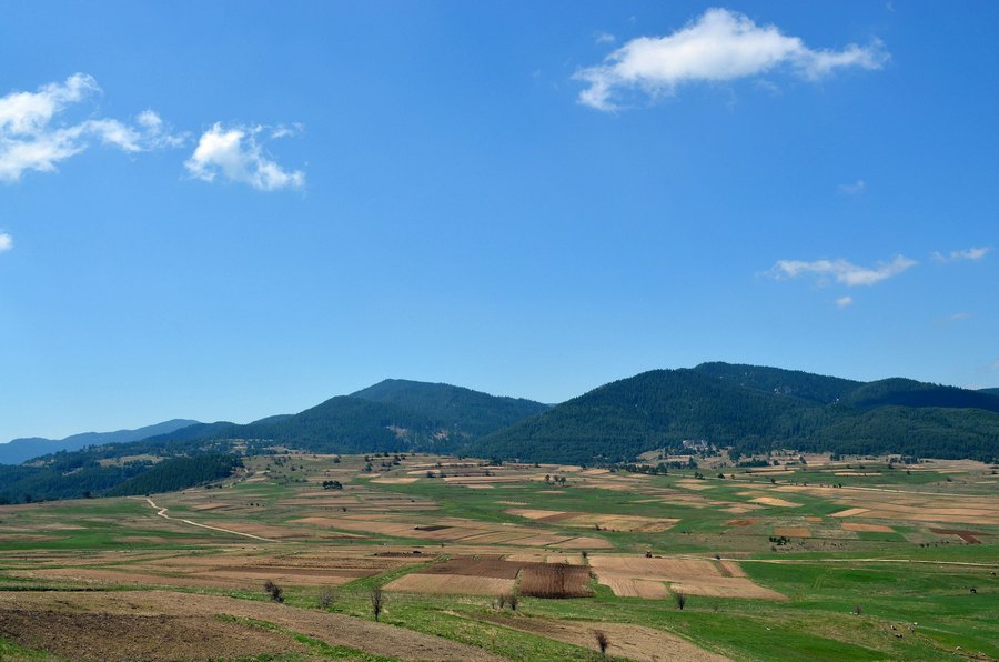 Панорама