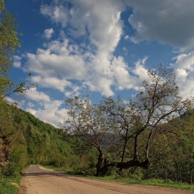 Орехът и пролетта