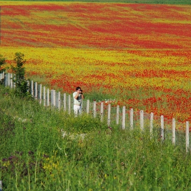 Как фотограф да пропусне тази гледка