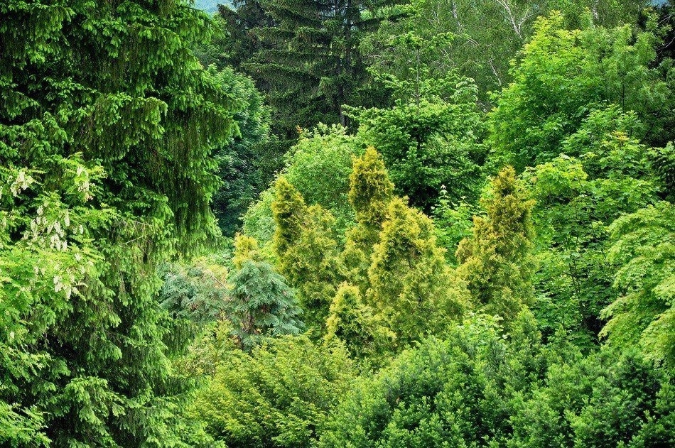 in Green