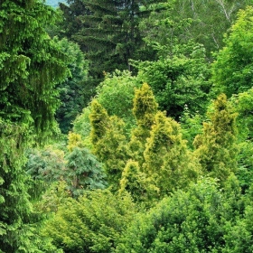 in Green