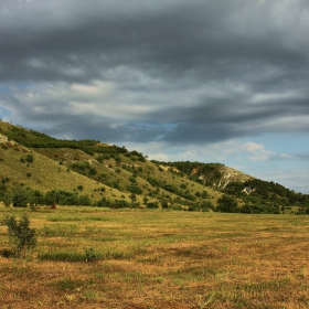Дунавската равнина