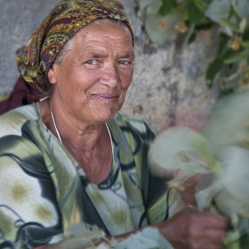 Берачка на липа от с.Звездец